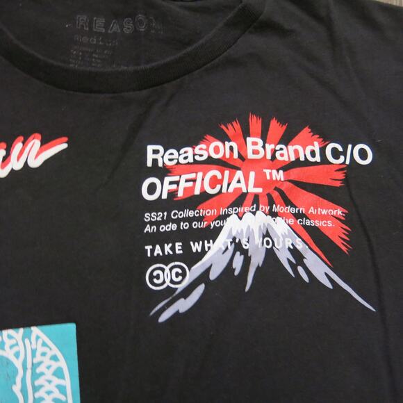 Reason Brand JAPAN Anime Dragon Tiger T Shirt Size M Mens Black Logo Fantasy - Picture 3 of 10